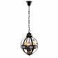 Подвесная люстра Loft IT Lantern Residential Loft3043-Bl - фото №3