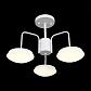 Потолочная светодиодная люстра ST Luce Pratico SLE120.502.03 - фото №2