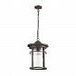 Уличный подвесной светильник Odeon Light Nature Virta 4044/1 - фото №1