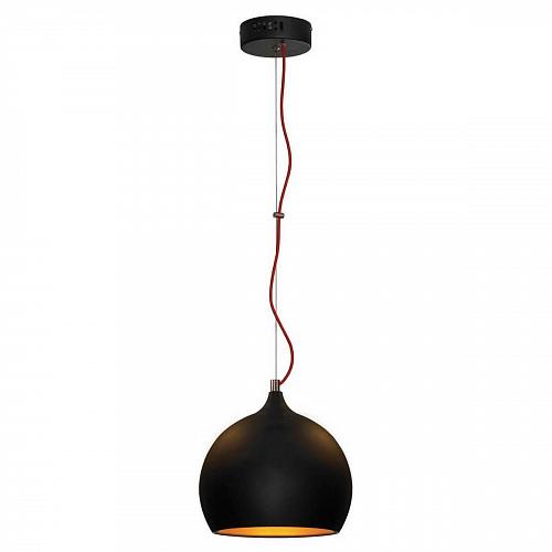 Подвесной светильник Lussole Loft LSN-6116-01