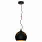 Подвесной светильник Lussole Loft LSN-6116-01 - фото №1