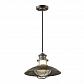 Уличный подвесной светильник Odeon Light Nature Dante 4164/1 - фото №1