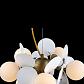 Подвесная люстра Loft IT Matisse 10008/6 White - фото №4
