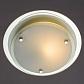 Потолочный светильник Arte Lamp A4867PL-1CC - фото №4