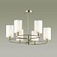 Потолочная люстра Lumion Neoclassi Avery 4431/6C - фото №2