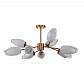 Потолочная люстра Indigo Boccio 13003/9C Brass V000004 - фото №2
