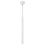 Подвесной светодиодный светильник Lussole Loft Cornville LSP-8110