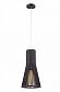 Подвесной светильник Arte Lamp Carcassa A2931SP-1BR - фото №1