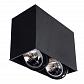 Потолочный светильник Arte Lamp Cardani A5936PL-2BK - фото №3