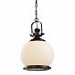 Подвесной светильник Arte Lamp Nautilus A8025SP-1CK - фото №1