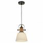 Подвесной светильник Lussole Loft LSP-9846 - фото №1
