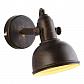 Спот Arte Lamp Martin A5213AP-1BR - фото №3
