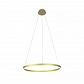 Подвесная светодиодная люстра Kink Light Тор 08212,32P(3000K) - фото №1