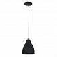 Подвесной светильник Arte Lamp Braccio A2054SP-1BK - фото №1