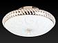 Накладной светильник Toplight Davina TL1481Y-04GC - фото №3