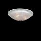 Потолочный светильник Lightstar Zucche 820830 - фото №4