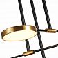 Подвесная светодиодная люстра ST Luce Farone SL1605.403.06 - фото №2