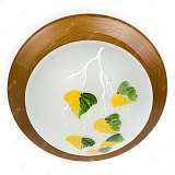 Светильник Toplight TL9461Y-01OA