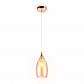 Подвесной светильник Ambrella light Traditional TR3543 - фото №1