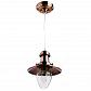 Подвесной светильник Arte Lamp Fisherman A5518SP-1RB - фото №1