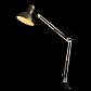 Настольная лампа Arte Lamp Senior A6068LT-1AB - фото №2