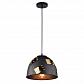 Подвесной светильник Arte Lamp Eurica A6023SP-1BK - фото №1