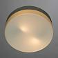 Потолочный светильник Arte Lamp Shirp A3211PL-2WH - фото №2
