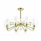Потолочная люстра Lumion Comfi Drew 3705/8C - фото №1