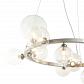 Подвесная люстра Lumien Hall Lovrenc LH4125/14P-SN-CL - фото №4