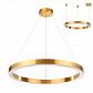 Подвесной светодиодный светильник Odeon Light L-vision Brizzi 3885/45LG - фото №1