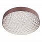 Потолочный светодиодный светильник Escada 10246/1LED - фото №1